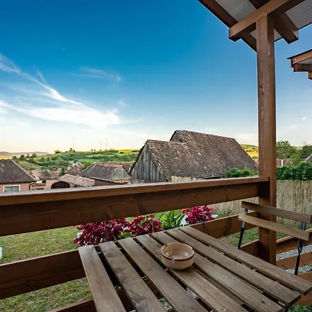 Flori Haus Guest house Saschiz
