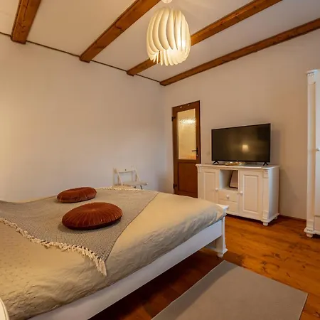 Flori Haus Guest house Saschiz